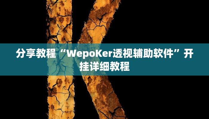 分享教程“WepoKer透视辅助软件”开挂详细教程