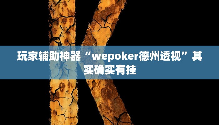 玩家辅助神器“wepoker德州透视”其实确实有挂
