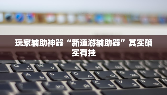 玩家辅助神器“新道游辅助器”其实确实有挂
