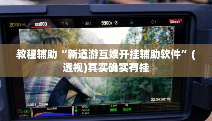 教程辅助“新道游互娱开挂辅助软件”(透视)其实确实有挂