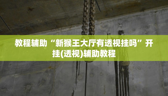 教程辅助“新猴王大厅有透视挂吗”开挂(透视)辅助教程 教程辅助“新猴王大厅有透视挂吗”开挂(透视)辅助教程