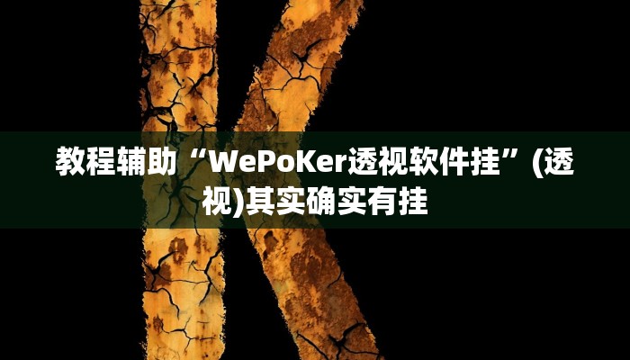 教程辅助“WePoKer透视软件挂”(透视)其实确实有挂