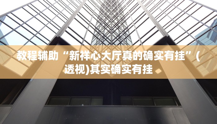 教程辅助“新祥心大厅真的确实有挂”(透视)其实确实有挂