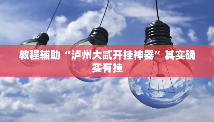 教程辅助“泸州大贰开挂神器”其实确实有挂
