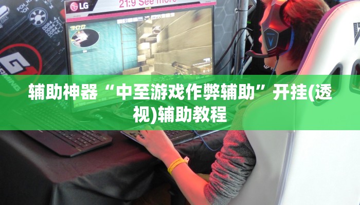 辅助神器“中至游戏作弊辅助”开挂(透视)辅助教程