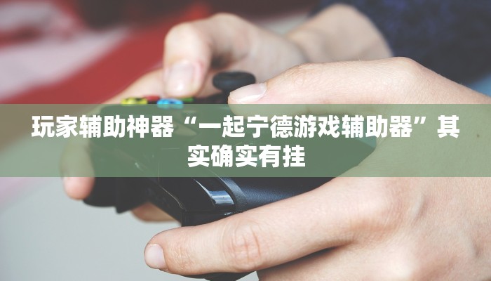 玩家辅助神器“一起宁德游戏辅助器”其实确实有挂