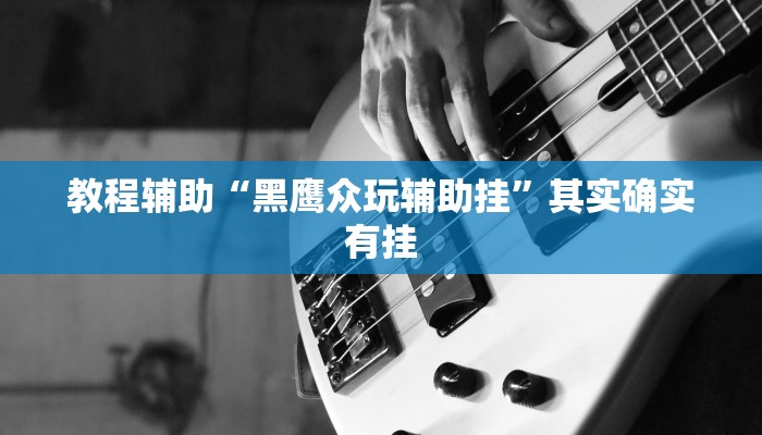 教程辅助“黑鹰众玩辅助挂”其实确实有挂