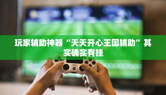 玩家辅助神器“天天开心王国辅助”其实确实有挂