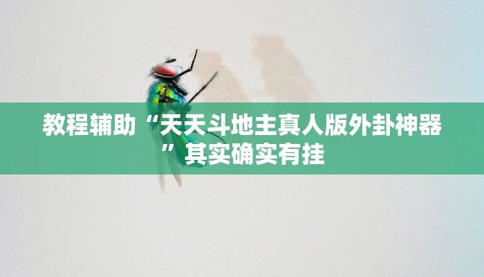 教程辅助“天天斗地主真人版外卦神器”其实确实有挂