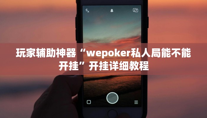 玩家辅助神器“wepoker私人局能不能开挂”开挂详细教程