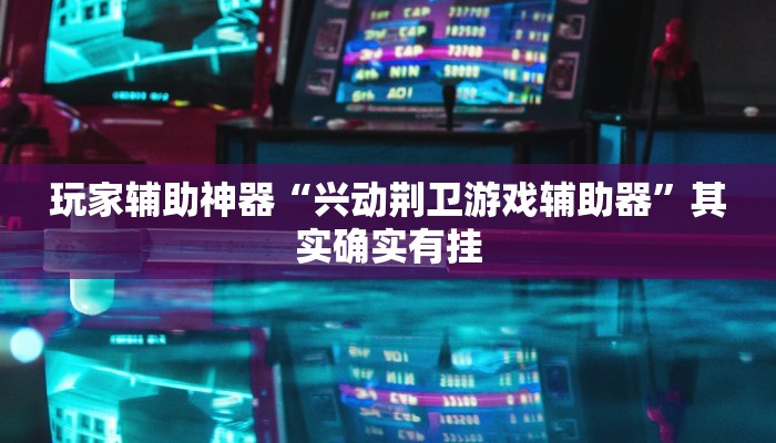 玩家辅助神器“兴动荆卫游戏辅助器”其实确实有挂