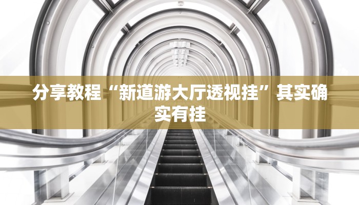 分享教程“新道游大厅透视挂”其实确实有挂 分享教程“新道游大厅透视挂”其实确实有挂