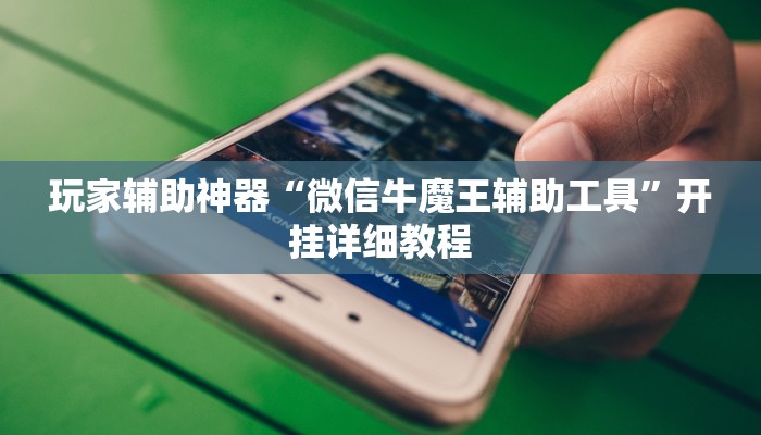 玩家辅助神器“微信牛魔王辅助工具”开挂详细教程