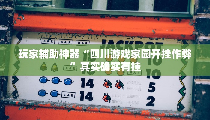 玩家辅助神器“四川游戏家园开挂作弊”其实确实有挂