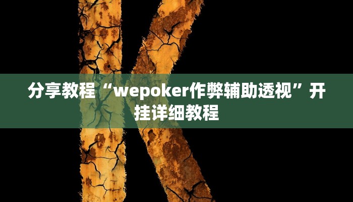 分享教程“wepoker作弊辅助透视”开挂详细教程