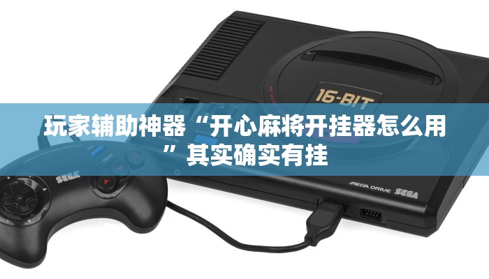 玩家辅助神器“开心麻将开挂器怎么用”其实确实有挂