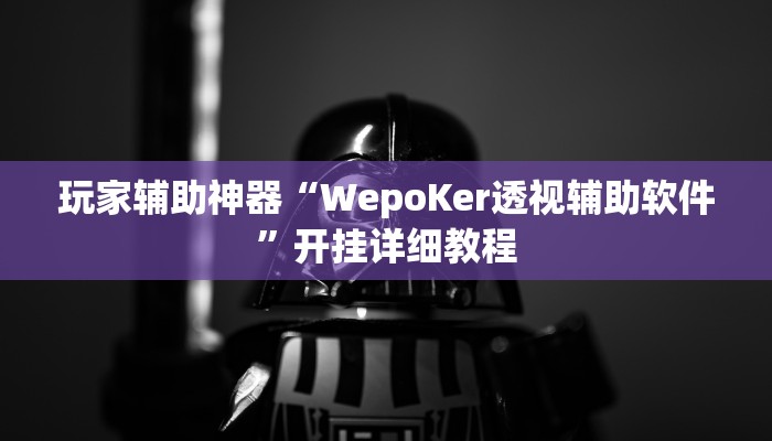 玩家辅助神器“WepoKer透视辅助软件”开挂详细教程