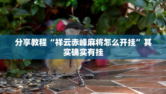 分享教程“祥云赤峰麻将怎么开挂”其实确实有挂 分享教程“祥云赤峰麻将怎么开挂”其实确实有挂
