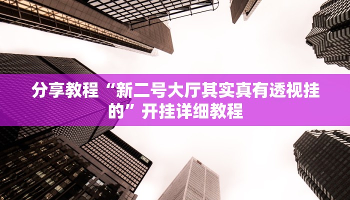 分享教程“新二号大厅其实真有透视挂的”开挂详细教程