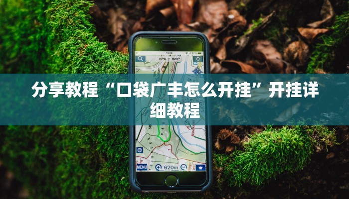 分享教程“口袋广丰怎么开挂”开挂详细教程 分享教程“口袋广丰怎么开挂”开挂详细教程