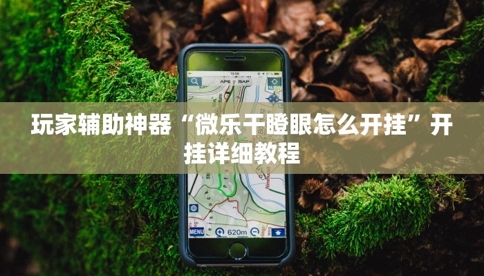 玩家辅助神器“微乐干瞪眼怎么开挂”开挂详细教程