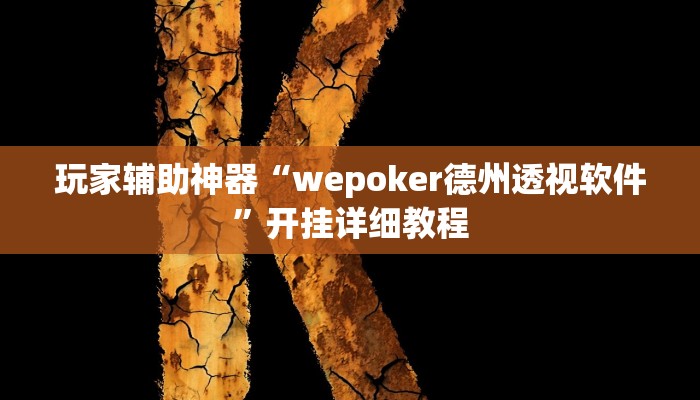 玩家辅助神器“wepoker德州透视软件”开挂详细教程