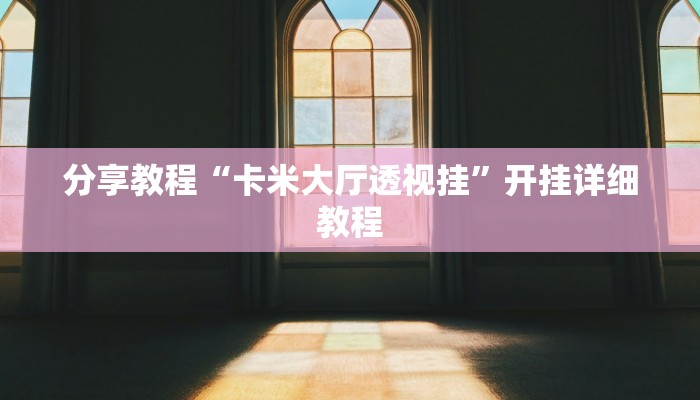 分享教程“卡米大厅透视挂”开挂详细教程