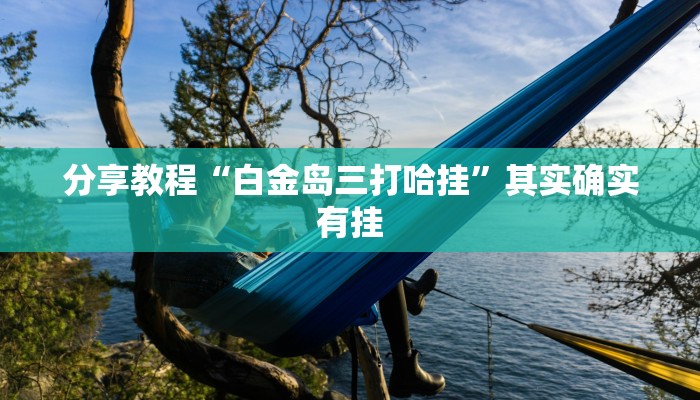 分享教程“白金岛三打哈挂”其实确实有挂 分享教程“白金岛三打哈挂”其实确实有挂