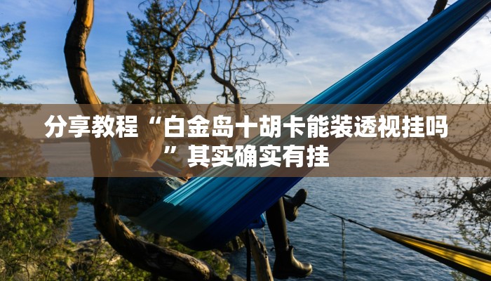 分享教程“白金岛十胡卡能装透视挂吗”其实确实有挂