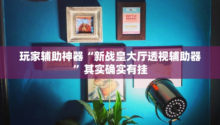 玩家辅助神器“新战皇大厅透视辅助器”其实确实有挂