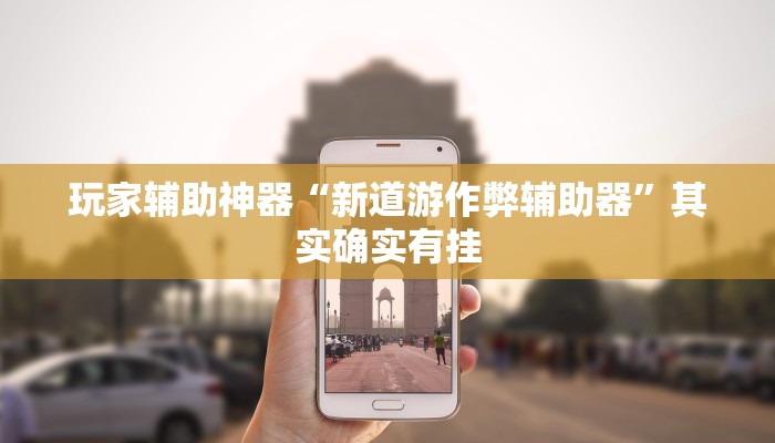 玩家辅助神器“新道游作弊辅助器”其实确实有挂 玩家辅助神器“新道游作弊辅助器”其实确实有挂