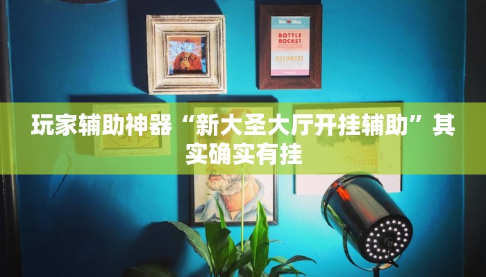 玩家辅助神器“新大圣大厅开挂辅助”其实确实有挂