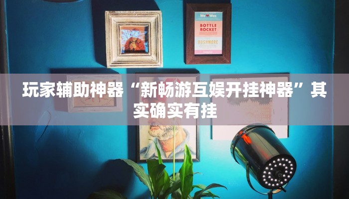 玩家辅助神器“新畅游互娱开挂神器”其实确实有挂