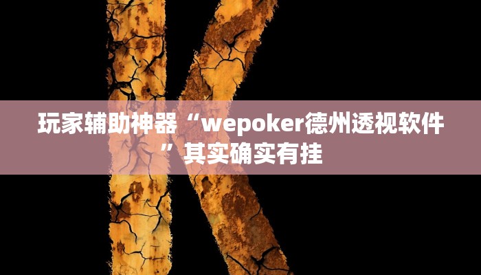 玩家辅助神器“wepoker德州透视软件”其实确实有挂