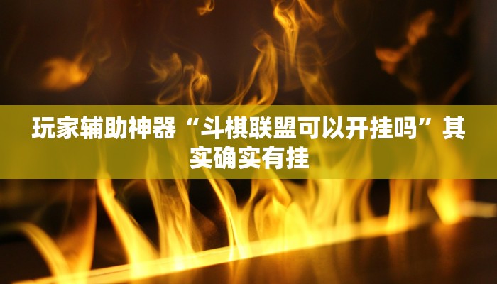 玩家辅助神器“斗棋联盟可以开挂吗”其实确实有挂