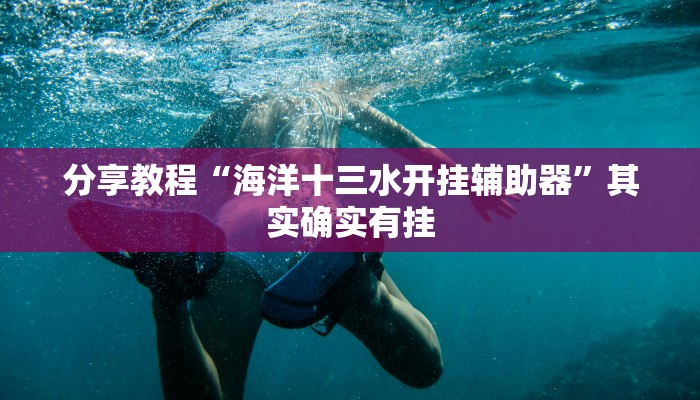 分享教程“海洋十三水开挂辅助器”其实确实有挂