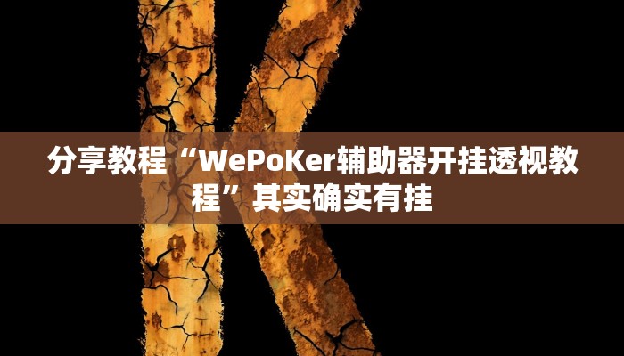 分享教程“WePoKer辅助器开挂透视教程”其实确实有挂