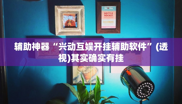 辅助神器“兴动互娱开挂辅助软件”(透视)其实确实有挂