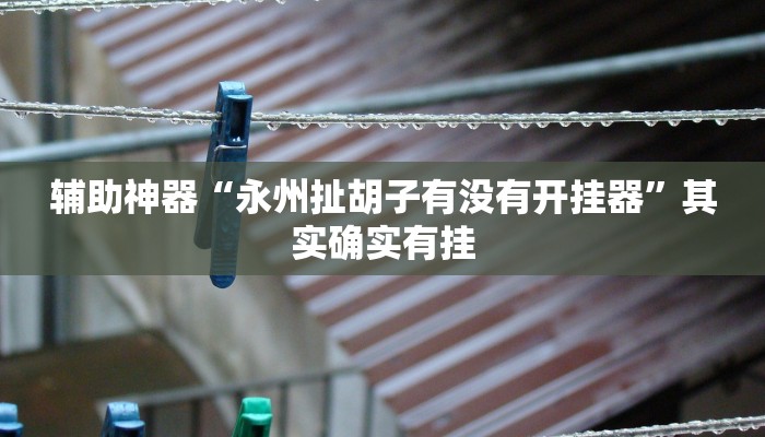 辅助神器“永州扯胡子有没有开挂器”其实确实有挂