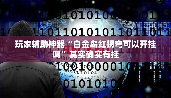 玩家辅助神器“白金岛红拐弯可以开挂吗”其实确实有挂