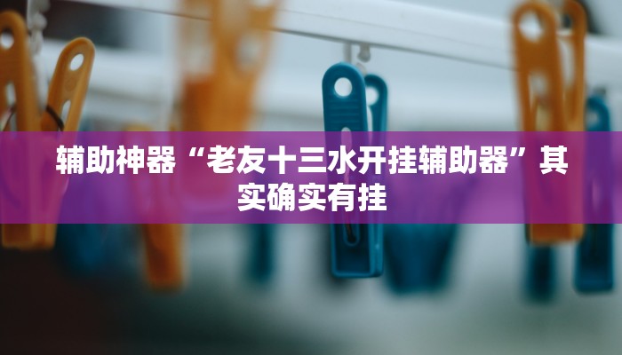 辅助神器“老友十三水开挂辅助器”其实确实有挂