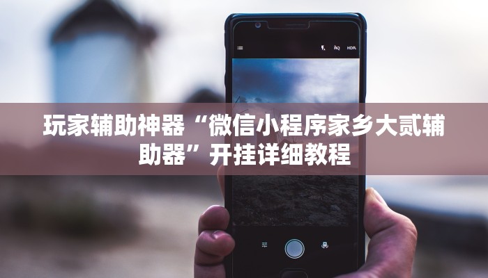 玩家辅助神器“微信小程序家乡大贰辅助器”开挂详细教程