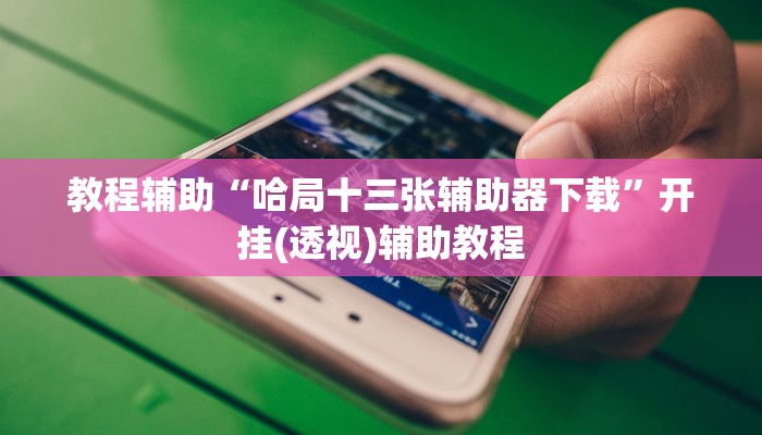 教程辅助“哈局十三张辅助器下载”开挂(透视)辅助教程