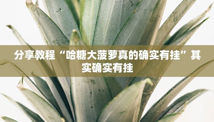 分享教程“哈糖大菠萝真的确实有挂”其实确实有挂