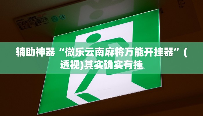 辅助神器“微乐云南麻将万能开挂器”(透视)其实确实有挂