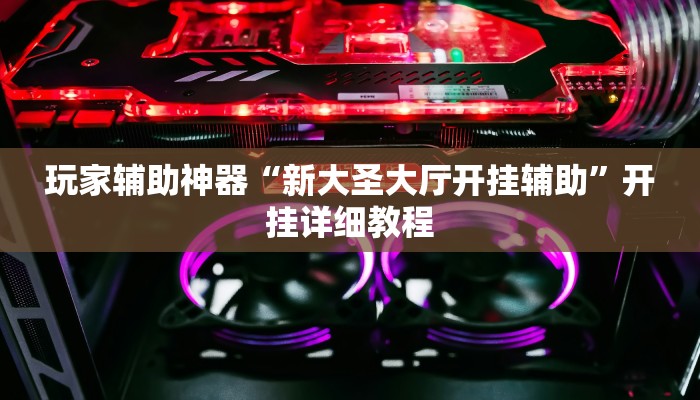 玩家辅助神器“新大圣大厅开挂辅助”开挂详细教程