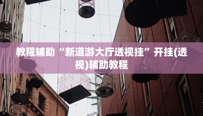 教程辅助“新道游大厅透视挂”开挂(透视)辅助教程