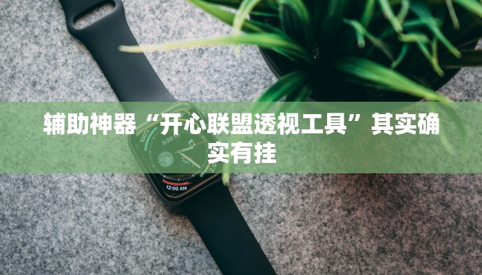 辅助神器“开心联盟透视工具”其实确实有挂