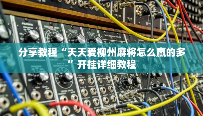 分享教程“天天爱柳州麻将怎么赢的多”开挂详细教程