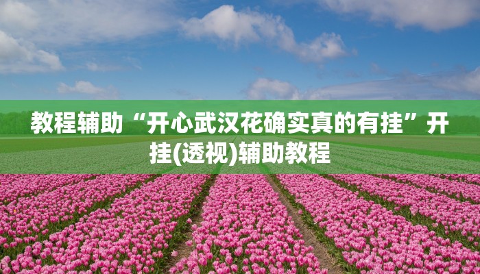 教程辅助“开心武汉花确实真的有挂”开挂(透视)辅助教程 教程辅助“开心武汉花确实真的有挂”开挂(透视)辅助教程